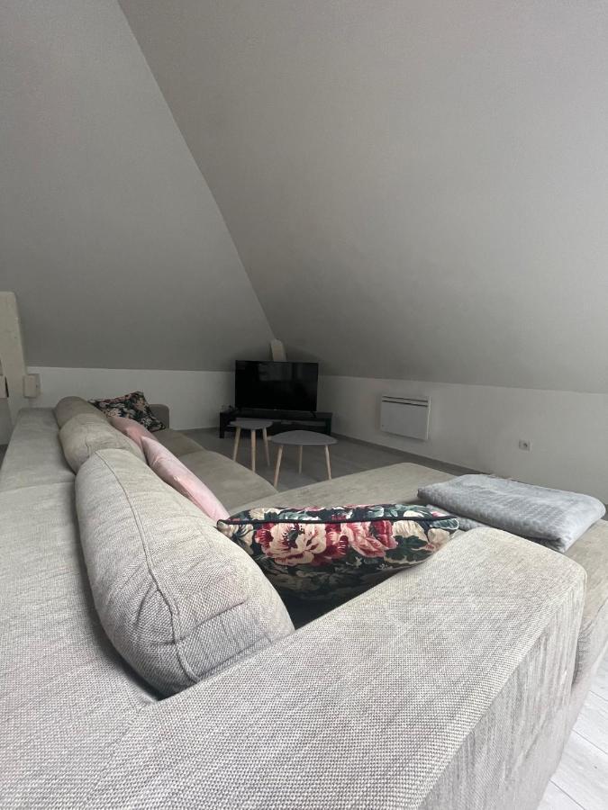 Appartamento Dream Loft Colmar Esterno foto